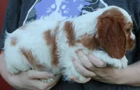 processed/1e3caf1a-694e-477d-96d8-6ff4e70ffc02/listing/29c9ac19-4485-4f13-9462-e7e9f816abdf/d5cc94ad-2e48-4abc-83e6-98a71c18bf00