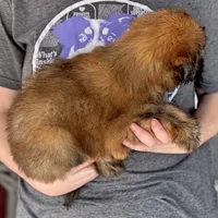 processed/1e3caf1a-694e-477d-96d8-6ff4e70ffc02/listing/667a3030-4b74-4fc9-840b-14e8d932629b/04f5a0e1-2396-4d2e-bc48-d77ba6b2f018