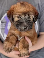 processed/1e3caf1a-694e-477d-96d8-6ff4e70ffc02/listing/667a3030-4b74-4fc9-840b-14e8d932629b/4e6e4c48-fbac-47ba-8831-bbac4fcff026