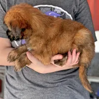 processed/1e3caf1a-694e-477d-96d8-6ff4e70ffc02/listing/667a3030-4b74-4fc9-840b-14e8d932629b/88cd293e-9888-4fee-8204-0300f958f610