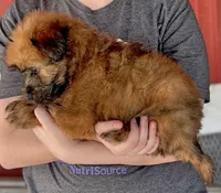 processed/1e3caf1a-694e-477d-96d8-6ff4e70ffc02/listing/bd0cefd6-44fe-442f-8c97-6944577b7092/0c61a076-c238-4236-808e-0501df2b8abe