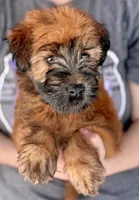 processed/1e3caf1a-694e-477d-96d8-6ff4e70ffc02/listing/bd0cefd6-44fe-442f-8c97-6944577b7092/e1abd0d0-6dc6-4b95-a0ec-8999742fda6a