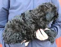 processed/1e3caf1a-694e-477d-96d8-6ff4e70ffc02/listing/d124c3d8-8041-4714-a816-12fae93276d2/1b577b91-d15a-4430-823b-12f9aff52f9e