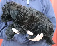 processed/1e3caf1a-694e-477d-96d8-6ff4e70ffc02/listing/d124c3d8-8041-4714-a816-12fae93276d2/f48ac174-b920-4f15-9c34-e342de358982