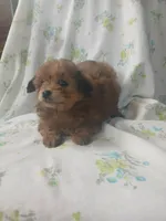 processed/1e3e8282-2cdf-4fa2-8033-39f03bf60626/listing/0ad81f74-767b-4cd5-9d01-c23bf5faf502/08d6a28d-f6cc-45c7-85dd-cafb965e666b