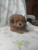 processed/1e3e8282-2cdf-4fa2-8033-39f03bf60626/listing/0ad81f74-767b-4cd5-9d01-c23bf5faf502/462f97d0-2129-499c-a1de-40b838f4e593