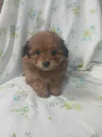 processed/1e3e8282-2cdf-4fa2-8033-39f03bf60626/listing/0ad81f74-767b-4cd5-9d01-c23bf5faf502/6b4ea340-6b41-4ce9-a0c2-414693ccf558