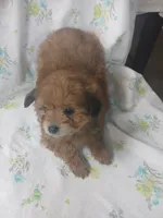 processed/1e3e8282-2cdf-4fa2-8033-39f03bf60626/listing/0ad81f74-767b-4cd5-9d01-c23bf5faf502/7ce7c12a-dc4f-470e-8f8d-abddee2431d7