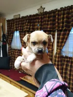 processed/1e3e8282-2cdf-4fa2-8033-39f03bf60626/listing/5df1a939-93a6-4d47-a976-e843b678e715/3404b28a-ad0e-4d77-8fcd-08b6cfa3d144