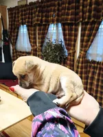 processed/1e3e8282-2cdf-4fa2-8033-39f03bf60626/listing/5df1a939-93a6-4d47-a976-e843b678e715/3e50c82c-9efb-4a1b-b015-6cc5894c48ae