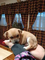 processed/1e3e8282-2cdf-4fa2-8033-39f03bf60626/listing/5df1a939-93a6-4d47-a976-e843b678e715/5ba167e0-a64c-473c-8587-5de5395db51b