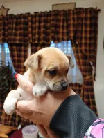 processed/1e3e8282-2cdf-4fa2-8033-39f03bf60626/listing/5df1a939-93a6-4d47-a976-e843b678e715/6f71b05d-0d7a-4572-9d1f-56c12c472ed5