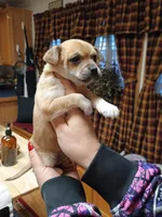 processed/1e3e8282-2cdf-4fa2-8033-39f03bf60626/listing/5df1a939-93a6-4d47-a976-e843b678e715/92b1e726-8cf9-4427-95c7-1548f42ffbe8