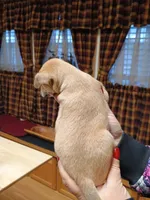 processed/1e3e8282-2cdf-4fa2-8033-39f03bf60626/listing/5df1a939-93a6-4d47-a976-e843b678e715/c12328ba-63cd-4c22-b2f7-22bfc6391d48