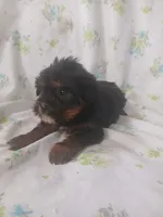 processed/1e3e8282-2cdf-4fa2-8033-39f03bf60626/listing/9d2633b3-0422-4988-a12c-fe3d8d255f11/313fa5dd-ac24-46b4-9601-8827d008319c