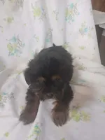 processed/1e3e8282-2cdf-4fa2-8033-39f03bf60626/listing/9d2633b3-0422-4988-a12c-fe3d8d255f11/956ad1d6-920c-42d0-b4eb-30f84558c9ec