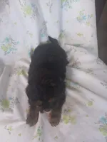 processed/1e3e8282-2cdf-4fa2-8033-39f03bf60626/listing/9d2633b3-0422-4988-a12c-fe3d8d255f11/9d278213-1771-4441-ba4a-cb4b52d8ad7f