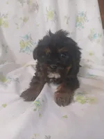 processed/1e3e8282-2cdf-4fa2-8033-39f03bf60626/listing/9d2633b3-0422-4988-a12c-fe3d8d255f11/a5abb238-14d9-417f-acae-ff9847053e62