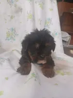 processed/1e3e8282-2cdf-4fa2-8033-39f03bf60626/listing/9d2633b3-0422-4988-a12c-fe3d8d255f11/ae343b5a-e2fc-44b2-8e7a-c56ceeb2a563