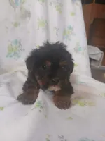 processed/1e3e8282-2cdf-4fa2-8033-39f03bf60626/listing/9d2633b3-0422-4988-a12c-fe3d8d255f11/e9e8380a-9cb7-4d70-a028-ed70f3a86f49