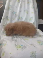 processed/1e3e8282-2cdf-4fa2-8033-39f03bf60626/listing/e73f7b00-9ae4-42de-8a42-d00999b15eb8/6b99c074-d995-462b-9407-a22b9eb9cb76