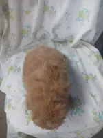 processed/1e3e8282-2cdf-4fa2-8033-39f03bf60626/listing/e73f7b00-9ae4-42de-8a42-d00999b15eb8/baee2da4-1cb1-4058-b2f0-9d3930909366