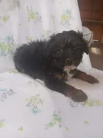 processed/1e3e8282-2cdf-4fa2-8033-39f03bf60626/listing/ebd22200-7399-4dc0-bae9-f22838229ee7/128daf09-2c95-4686-827e-bc9a1f4a345c