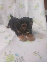 processed/1e3e8282-2cdf-4fa2-8033-39f03bf60626/listing/ebd22200-7399-4dc0-bae9-f22838229ee7/252bc00f-2233-4abe-b1da-70629b9445c1