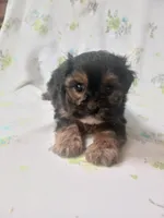 processed/1e3e8282-2cdf-4fa2-8033-39f03bf60626/listing/ebd22200-7399-4dc0-bae9-f22838229ee7/9927682a-7abb-4a4c-9b49-021216c4a029