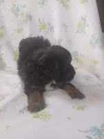 processed/1e3e8282-2cdf-4fa2-8033-39f03bf60626/listing/ebd22200-7399-4dc0-bae9-f22838229ee7/c5a88afa-65e5-4e70-86d1-2bc9589a4f2a