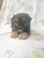 processed/1e3e8282-2cdf-4fa2-8033-39f03bf60626/listing/ebd22200-7399-4dc0-bae9-f22838229ee7/c9d9df8c-0da0-4042-a644-a33fc86221b4