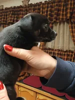 processed/1e3e8282-2cdf-4fa2-8033-39f03bf60626/listing/fce77e1e-68e2-443b-96b6-849700653c37/57461138-d57a-45f4-9422-7a7d9230436c