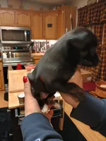 processed/1e3e8282-2cdf-4fa2-8033-39f03bf60626/listing/fce77e1e-68e2-443b-96b6-849700653c37/64668b48-7fde-4ff1-92f0-7d9693f7e783