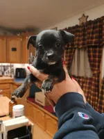 processed/1e3e8282-2cdf-4fa2-8033-39f03bf60626/listing/fce77e1e-68e2-443b-96b6-849700653c37/b7079073-b900-4ef7-bc4a-566c79f96ea0