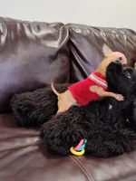 processed/1e47d7c7-297a-45d5-8467-c9c9e7cecaa3/facility/1e6ebc70-d8ec-4b86-93b3-1c451aee666b