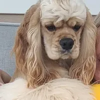 processed/1e47d7c7-297a-45d5-8467-c9c9e7cecaa3/facility/3996edb6-a951-4e75-8c0b-7357cda8eec4