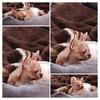 processed/1e47d7c7-297a-45d5-8467-c9c9e7cecaa3/facility/a4d3b826-76ca-4683-b562-72a2462b484e