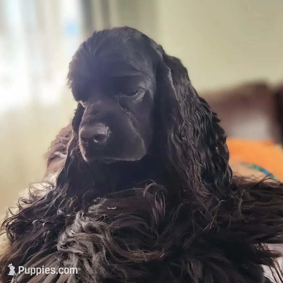 processed/1e47d7c7-297a-45d5-8467-c9c9e7cecaa3/facility/aebd2391-2f32-4576-b4d8-f8186f725bdb