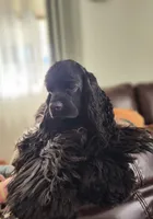 processed/1e47d7c7-297a-45d5-8467-c9c9e7cecaa3/facility/aebd2391-2f32-4576-b4d8-f8186f725bdb