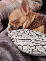 processed/1e47d7c7-297a-45d5-8467-c9c9e7cecaa3/facility/f71971b7-4ca1-4416-b633-cb0eac0bc9f1