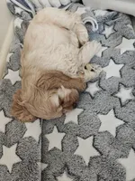 processed/1e47d7c7-297a-45d5-8467-c9c9e7cecaa3/listing/5337d7b8-1ddc-4ff2-b4b3-259340fdf02a/a1e30c87-75e6-4c23-84a1-9779da049236