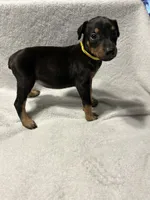 processed/1e4924a1-d12b-4ba1-ba6d-5f77cf8ff975/listing/6d76cd03-db00-4535-b79e-b62fd02c4420/40f02aa4-7750-44a7-8993-25958de9ef17