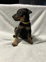 processed/1e4924a1-d12b-4ba1-ba6d-5f77cf8ff975/listing/6d76cd03-db00-4535-b79e-b62fd02c4420/d450e165-7b7b-4955-ad6b-2e43724bd150