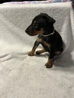 processed/1e4924a1-d12b-4ba1-ba6d-5f77cf8ff975/listing/7eb896e5-9856-4d7c-9108-1e2a1de01dc5/68a13b25-6019-40bd-ab4d-8465e5ab1d80