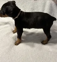 processed/1e4924a1-d12b-4ba1-ba6d-5f77cf8ff975/listing/7eb896e5-9856-4d7c-9108-1e2a1de01dc5/bb5d858b-d396-4fef-a4f3-af7850d446c4