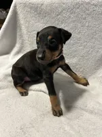 processed/1e4924a1-d12b-4ba1-ba6d-5f77cf8ff975/listing/840fa503-ce7c-425b-aa0c-c6d06fe781a3/0bcfda2d-f317-4393-b2f2-405fa04c6821