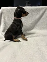 processed/1e4924a1-d12b-4ba1-ba6d-5f77cf8ff975/listing/840fa503-ce7c-425b-aa0c-c6d06fe781a3/5ede8d11-d135-4bc2-ac29-1ffac192869f