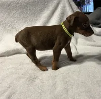 processed/1e4924a1-d12b-4ba1-ba6d-5f77cf8ff975/listing/8a12e5a0-118f-4b91-bd5e-a2e46af72d9f/9aa6ea3a-0393-4d08-8179-38ba7427075b