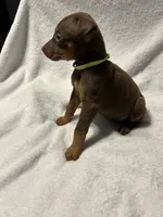 processed/1e4924a1-d12b-4ba1-ba6d-5f77cf8ff975/listing/8a12e5a0-118f-4b91-bd5e-a2e46af72d9f/d770e567-531c-490a-86bd-ba2f6a79c320