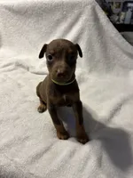 processed/1e4924a1-d12b-4ba1-ba6d-5f77cf8ff975/listing/8a12e5a0-118f-4b91-bd5e-a2e46af72d9f/f9ab0d75-64e0-4f49-a65c-52b8bdf19723